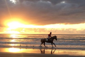 beach horse races