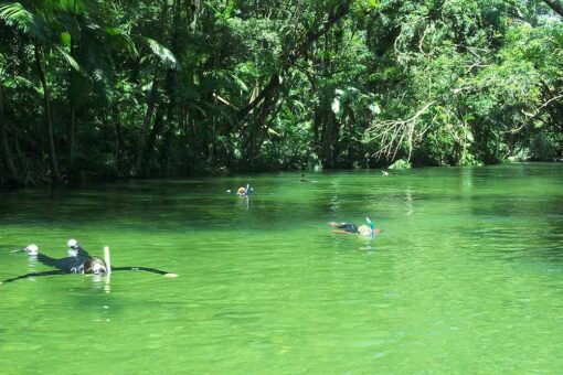 river drift snorkeling