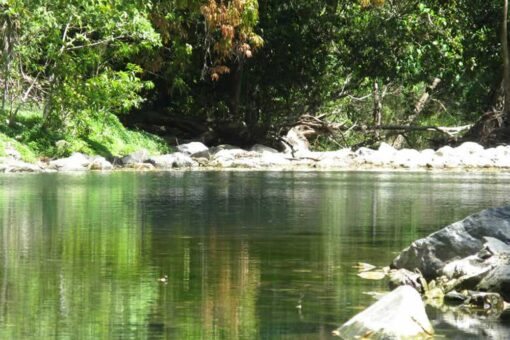 Spring creek, Mowbray & Port Douglas