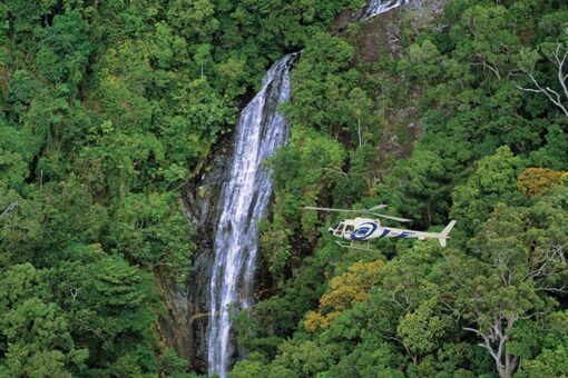 rainforest helicopter tour